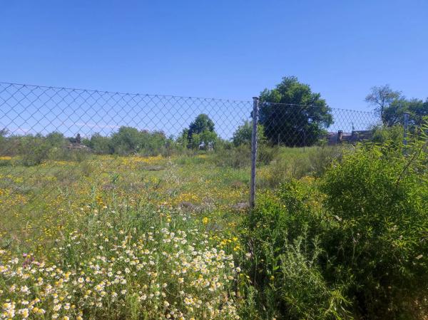 Terreno en calle de las Adelfas, 100 -4 photo 2