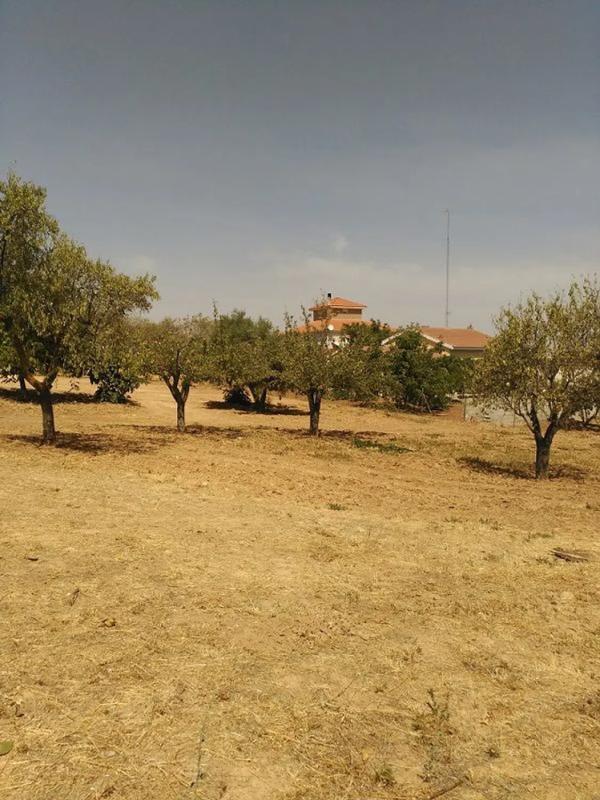 Terreno en venta en Camarma de Esteruelas, Madrid photo 2