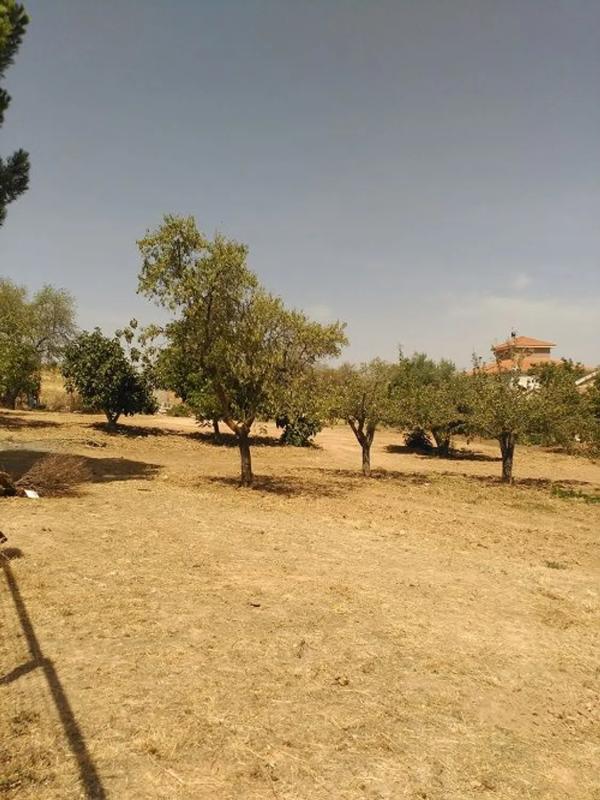 Terreno en venta en Camarma de Esteruelas, Madrid photo 3