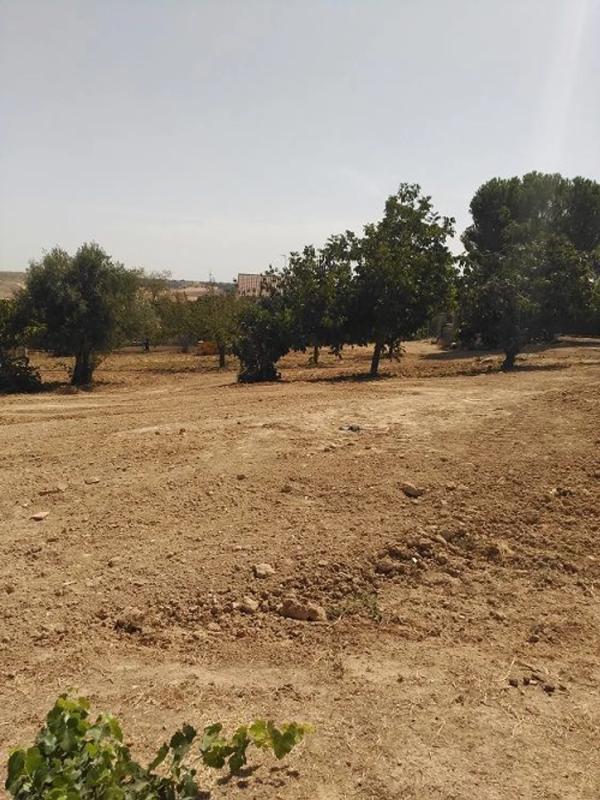 Terreno en venta en Camarma de Esteruelas, Madrid photo 5