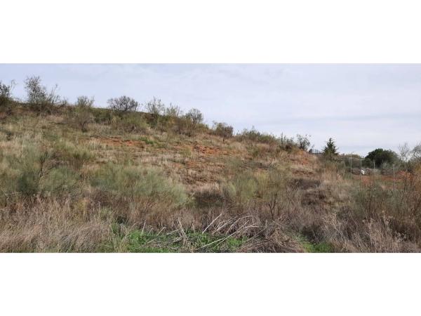 Terreno en Camarma de Esteruelas photo 1