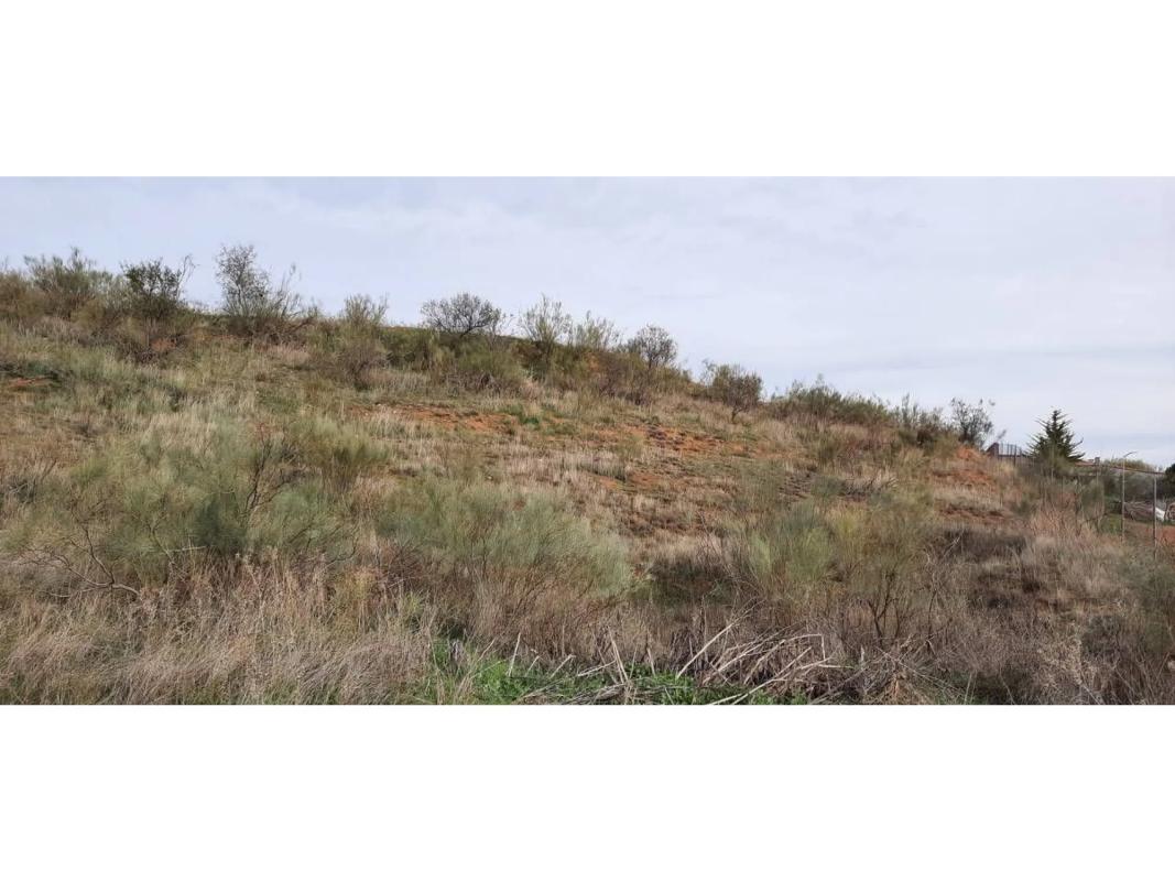 Terreno en venta en Camarma de Esteruelas, Madrid photo 3