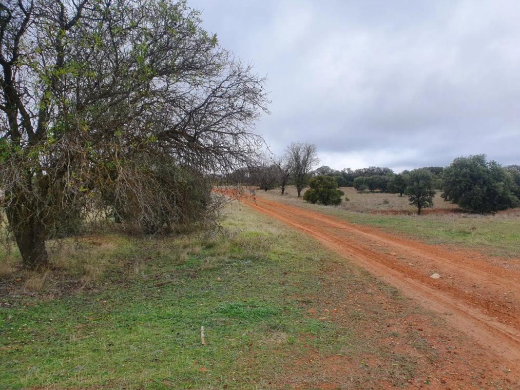 Land for sale in Villalbilla, Madrid photo 3