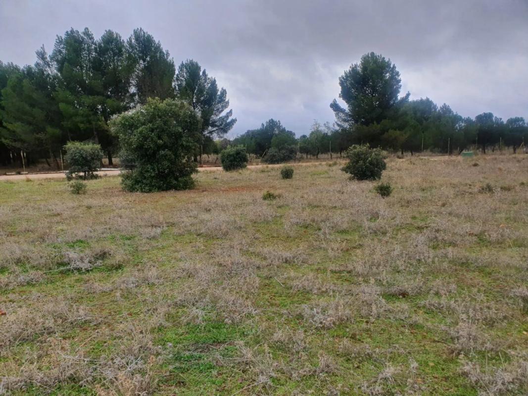 Land for sale in Villalbilla, Madrid photo 4