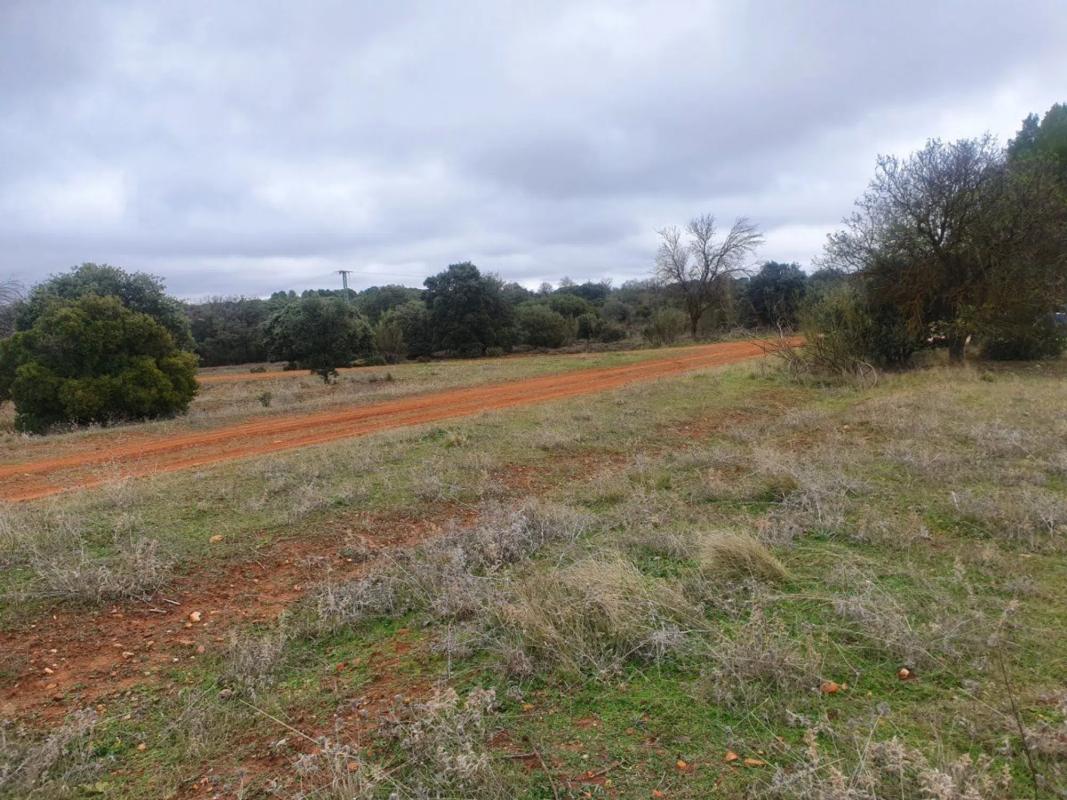 Land for sale in Villalbilla, Madrid photo 5