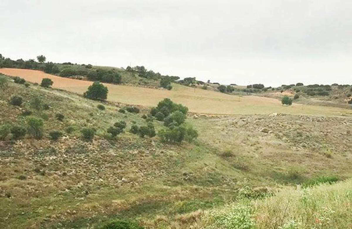 Terreno en venta en Corpa, Madrid photo 4
