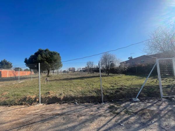 Terreno en camino de Alcala, 98  (185-6) photo 3