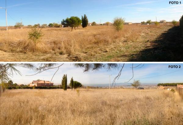 Terreno en camino de Alcala, 98  (185-6) photo 4