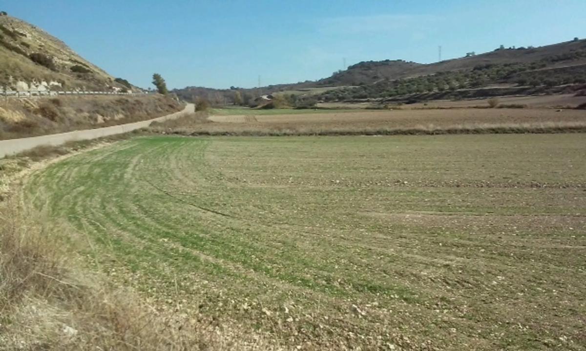 Terreno en venta en Corpa, Madrid photo 2