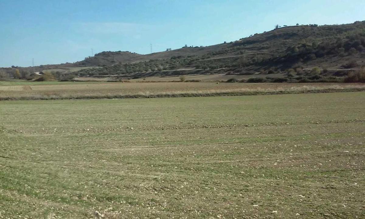 Terreno en venta en Corpa, Madrid photo 4