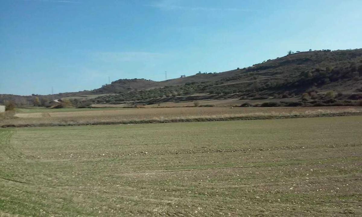 Terreno en venta en Corpa, Madrid photo 5
