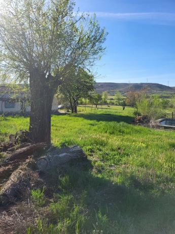 Terreno en calle del Doctor Anchuelo, km 1 thumbnail 1