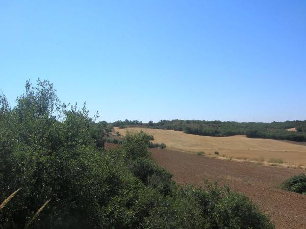 Terreno en calle Llanos de Simón, 17 Polgono photo 3