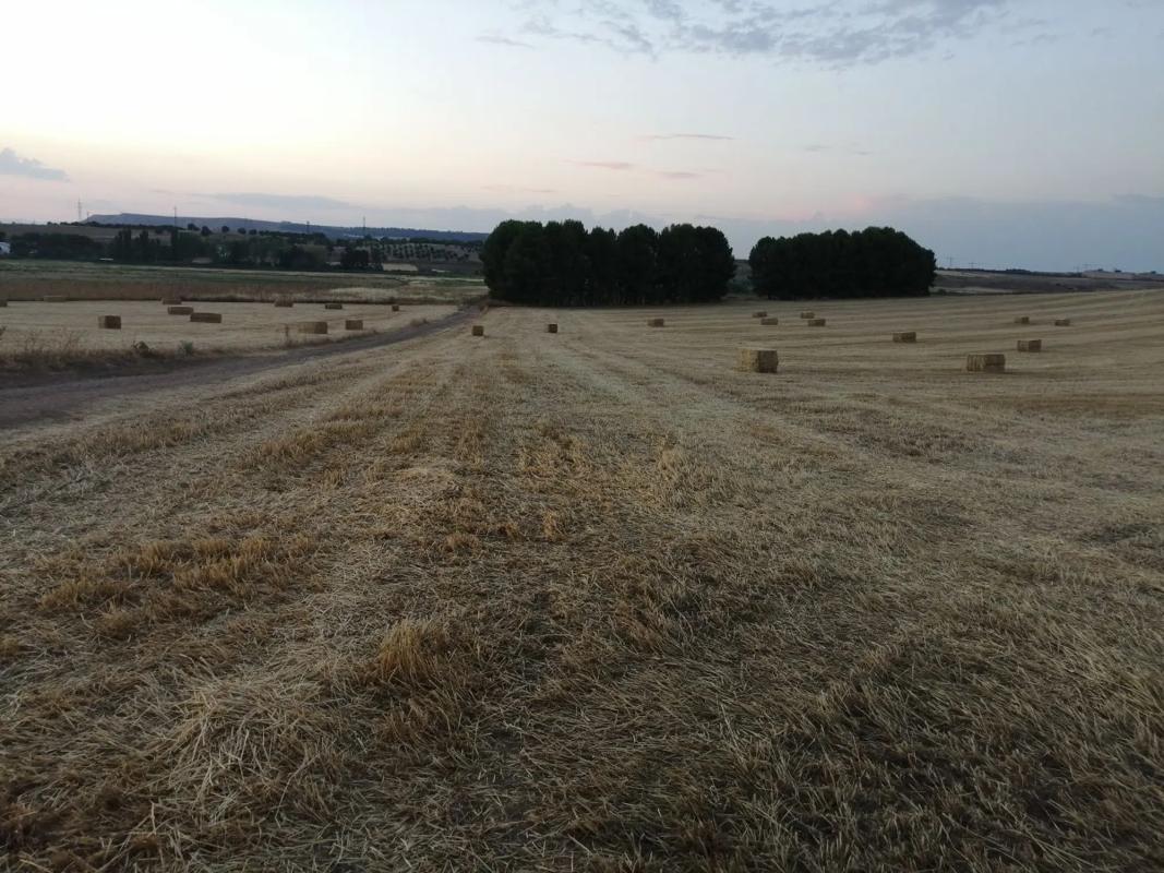 Land for sale in Towers of the Alameda, Madrid photo 5