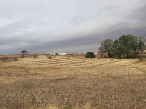 Terreno en r-2, km 24 photo 4