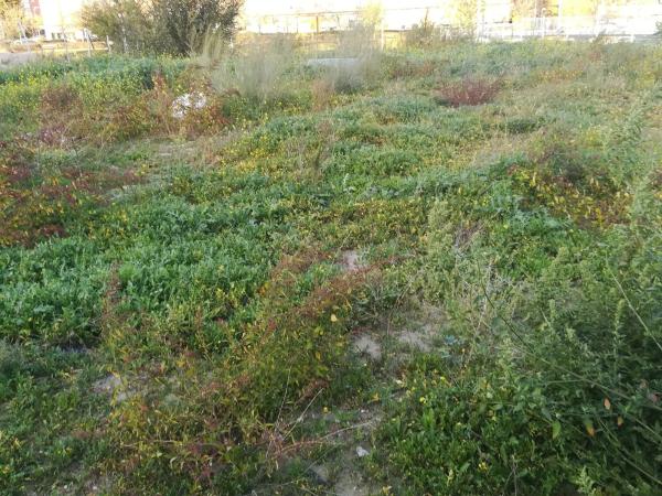 Terreno en Barrio Pau de Carabanchel photo