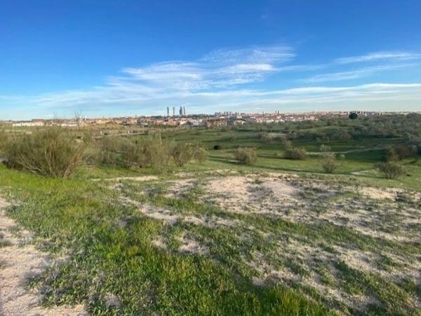 Terreno en M-612, km 2 photo 1