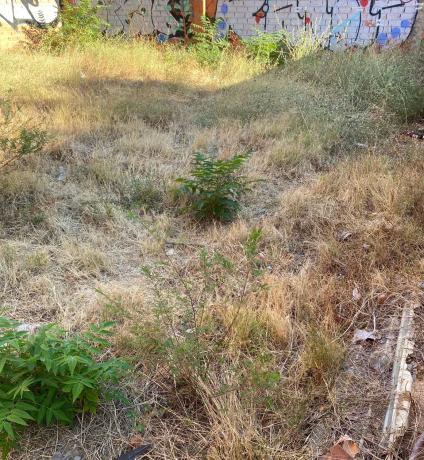Terreno en Barrio Canillas photo