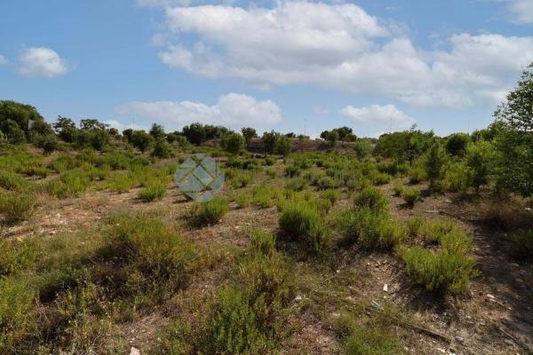 Terreno en calle de Carmen Laforet photo 4