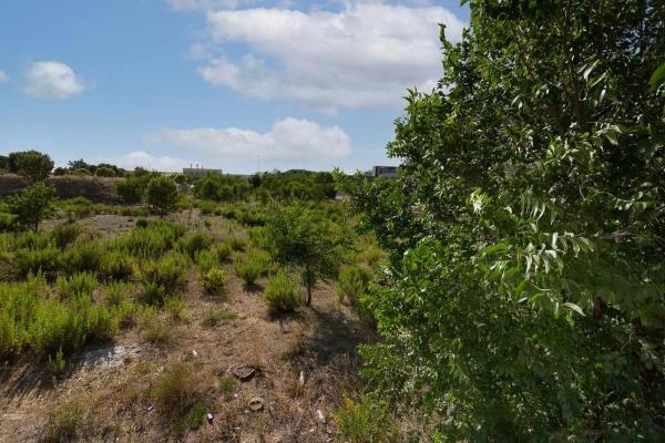 Terreno en avenida de Aragón, 402 photo 1
