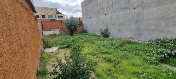 Terreno en calle Mayo photo 2