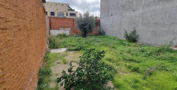 Terreno en calle Mayo photo 4