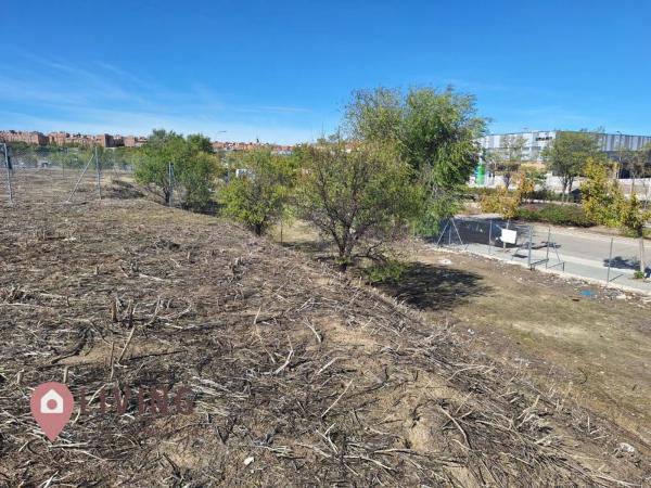 Terreno en El Cañaveral photo 4