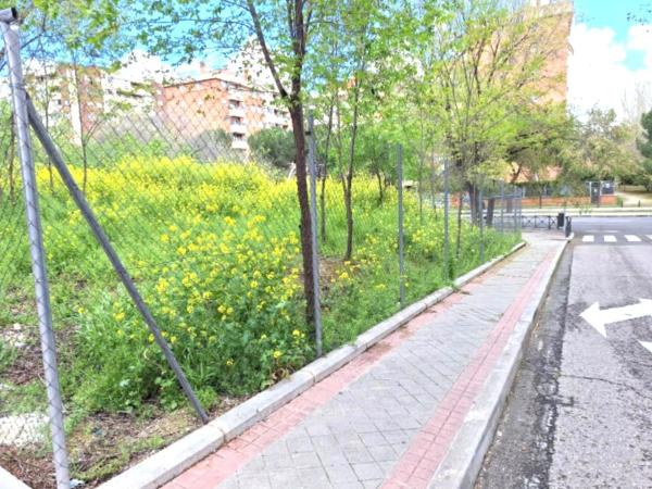 Terreno en calle Aluminio photo 2