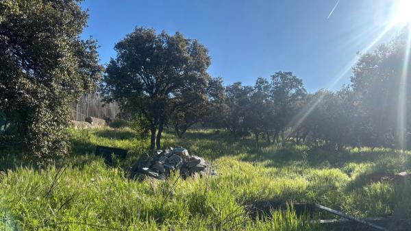 Terreno en Alpedrete photo 2
