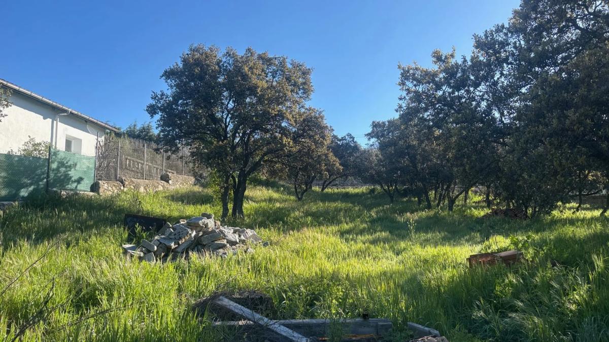 Land for sale in Alpedrete, Madrid photo 3