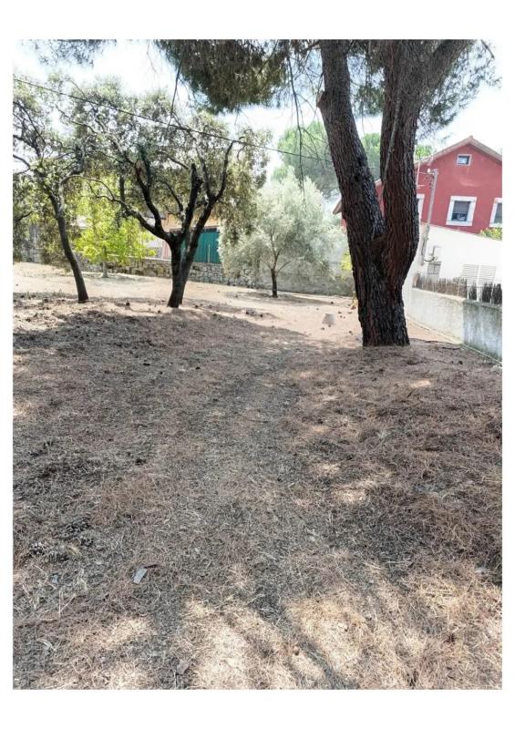 Terreno en venta en Alpedrete, Madrid photo 2