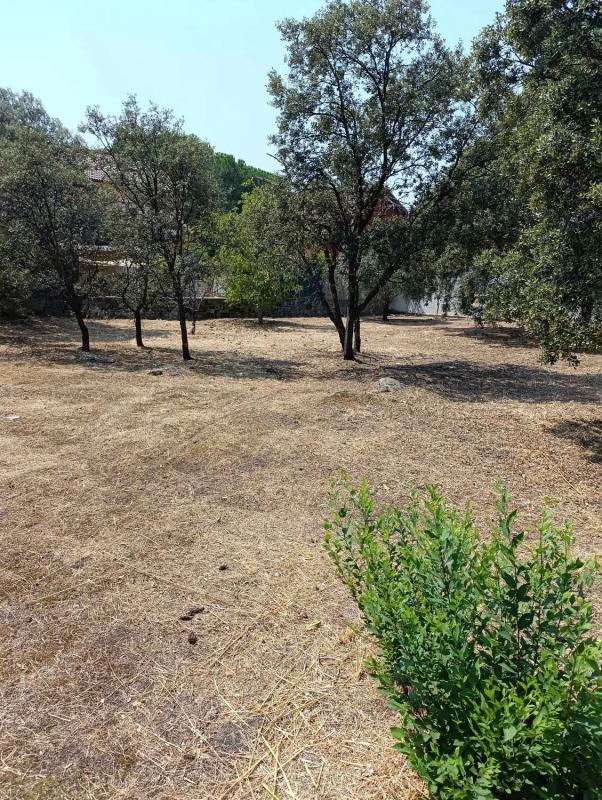 Terreno en venta en Alpedrete, Madrid photo 3