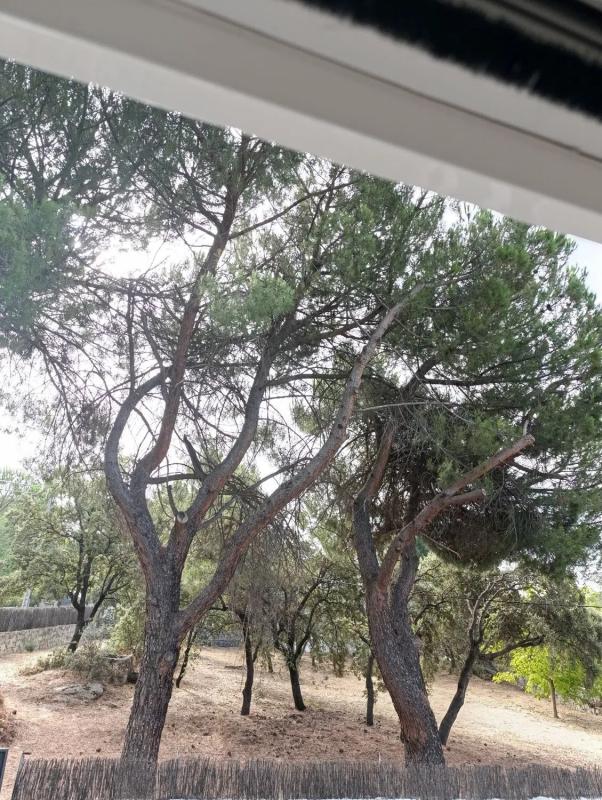 Terreno en venta en Alpedrete, Madrid photo 4