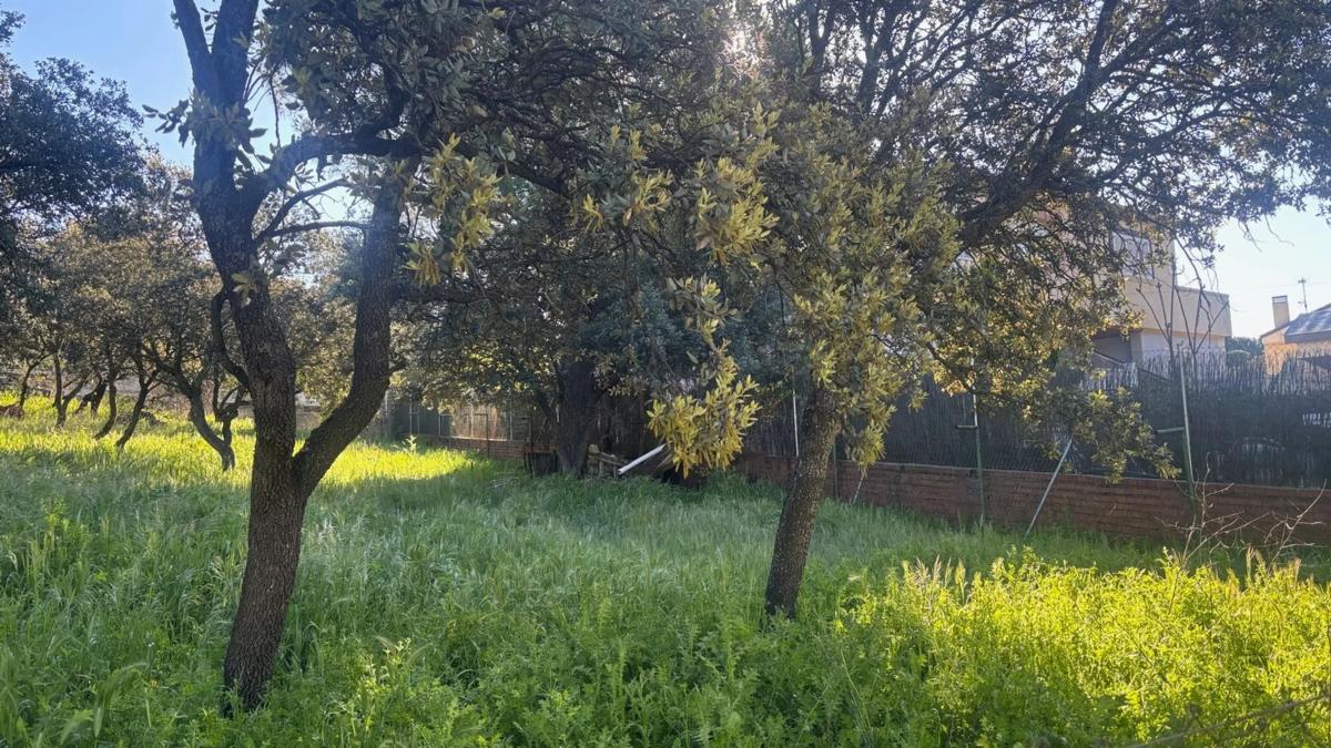 Land for sale in Alpedrete, Madrid photo 5