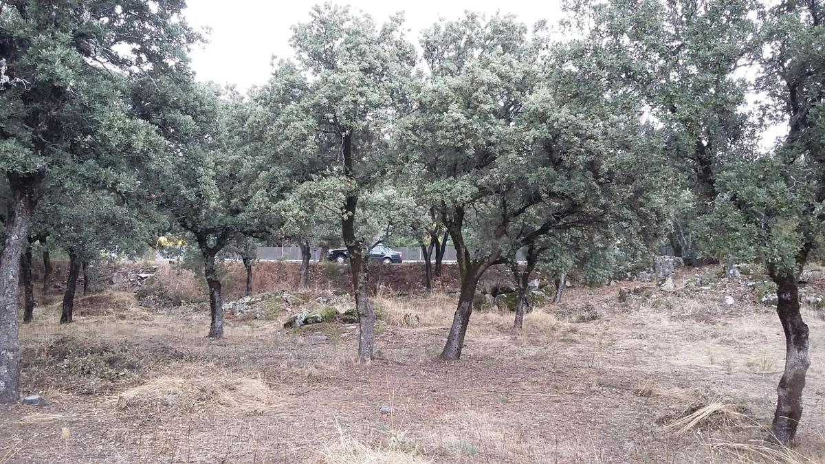 Terreno en venta en Alpedrete, Madrid photo 3