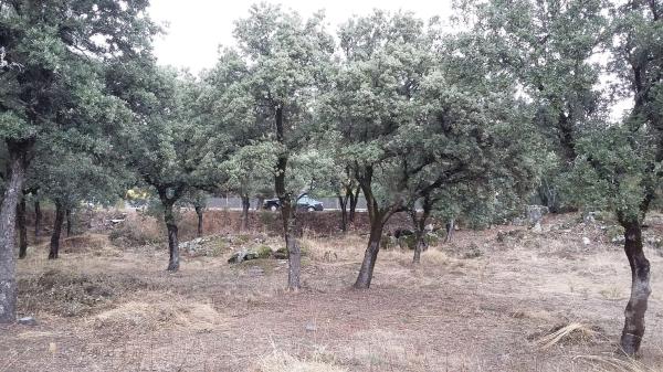 Terreno en avenida del Monte, 21 thumbnail 2