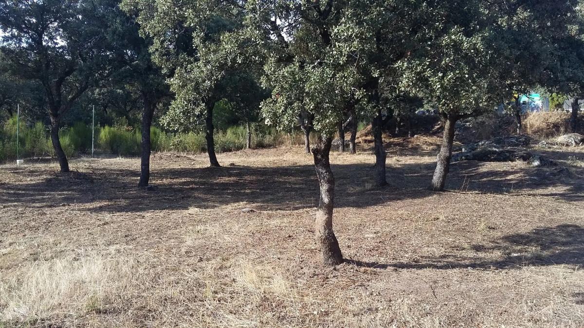 Terreno en venta en Alpedrete, Madrid photo 4