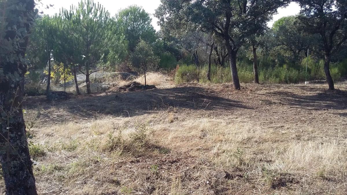 Terreno en venta en Alpedrete, Madrid photo 5