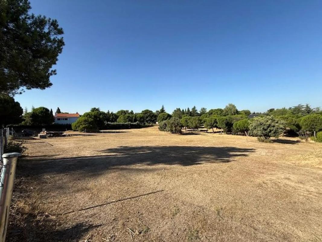 Terreno en venta en Boadilla del Monte, Madrid photo 4