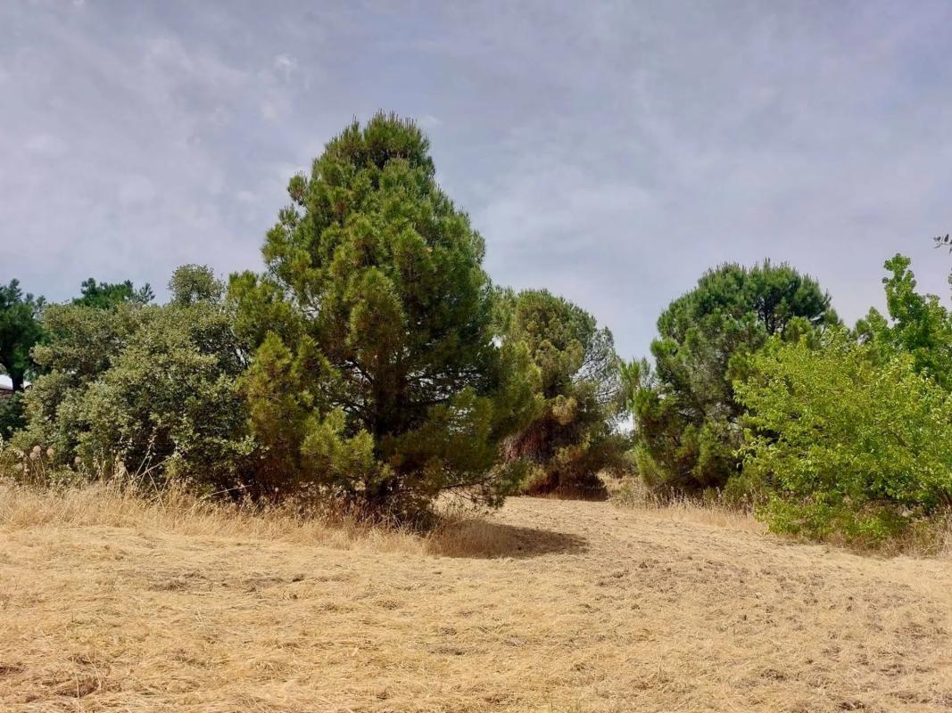 Terreno en venta en Boadilla del Monte, Madrid photo 2