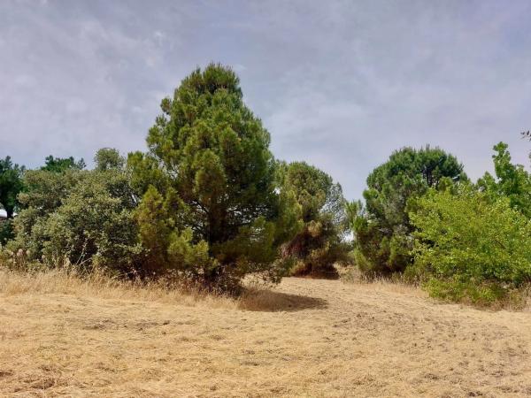 Terreno en calle Playa de Castro Urdiales photo 2