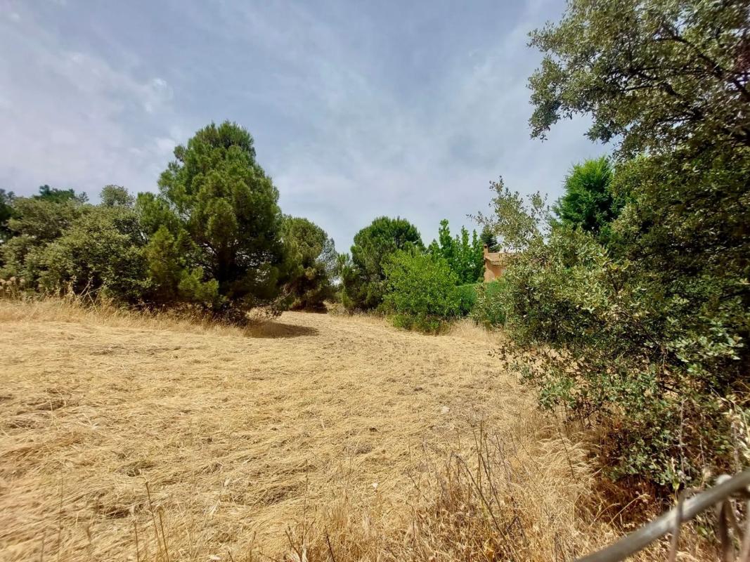 Terreno en venta en Boadilla del Monte, Madrid photo 4