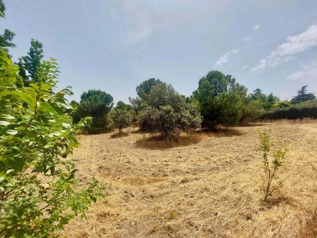 Terreno en venta en Boadilla del Monte, Madrid photo 5