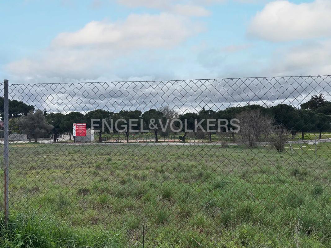 Land for sale in Boadilla del Monte, Madrid photo 3
