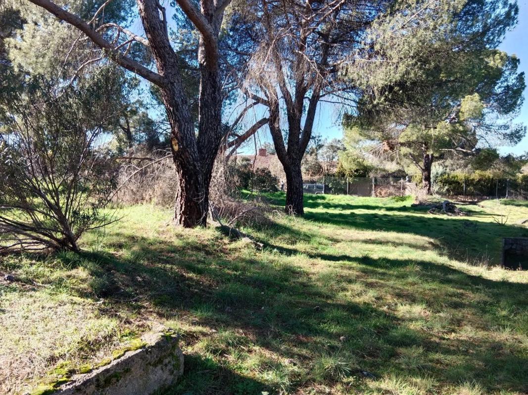 Terreno en venta en Boadilla del Monte, Madrid photo 3
