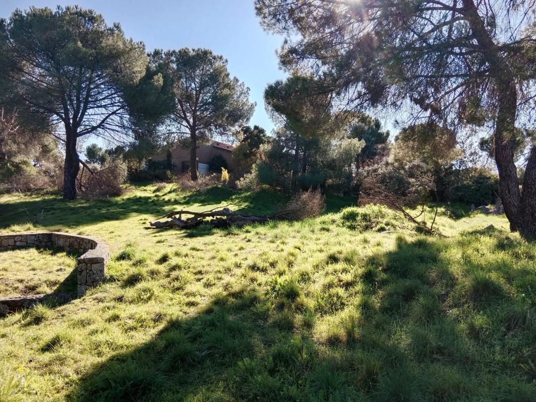 Terreno en venta en Boadilla del Monte, Madrid photo 5