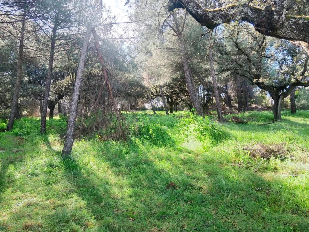 Terreno en venta en Boadilla del Monte, Madrid photo 1