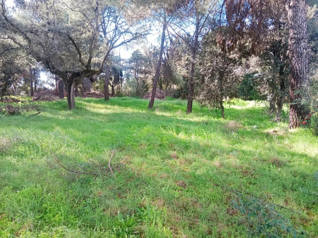 Terreno en venta en Boadilla del Monte, Madrid photo 2