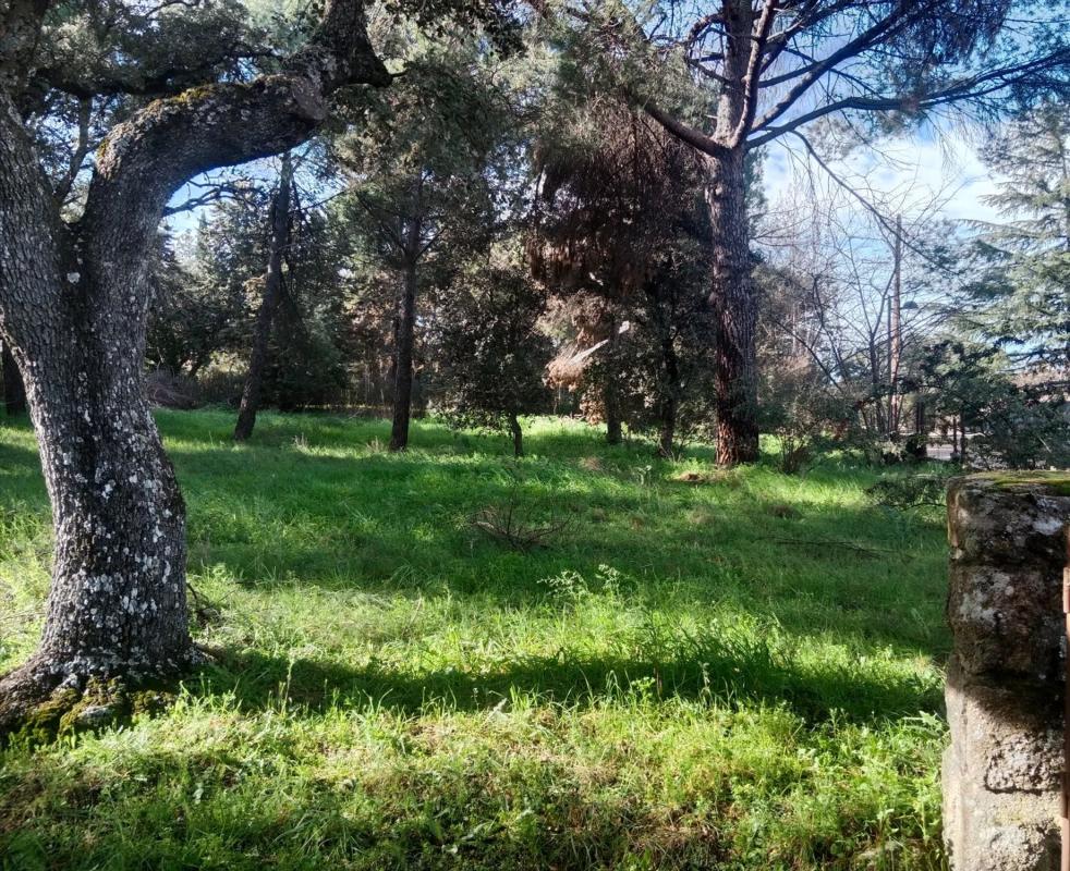 Terreno en venta en Boadilla del Monte, Madrid photo 4