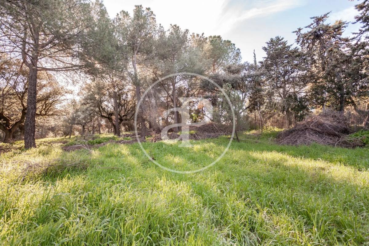 Terreno en venta en Boadilla del Monte, Madrid photo 4